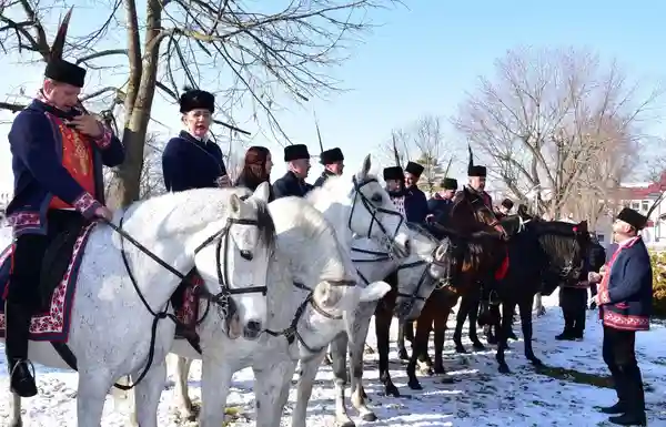 Pokladno jahanje u Bistrincima